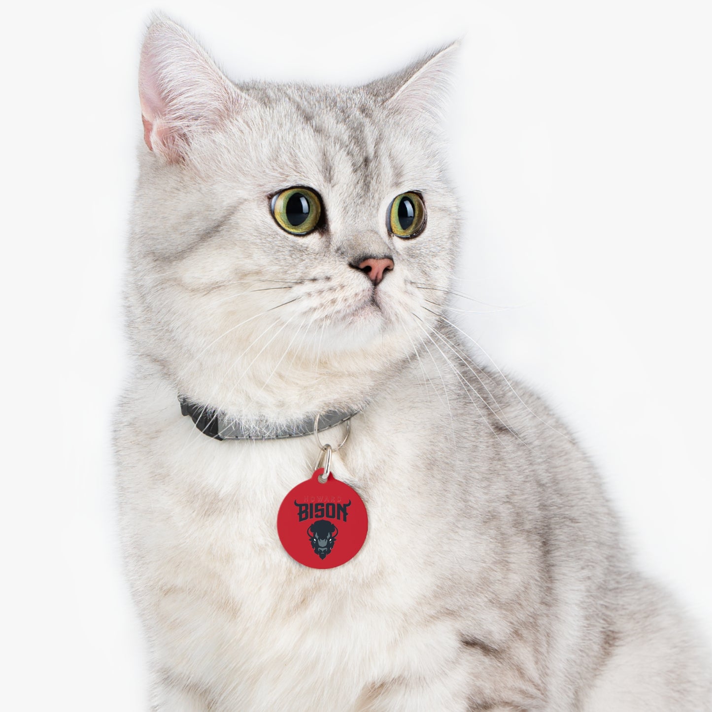 Howard Pet Tag