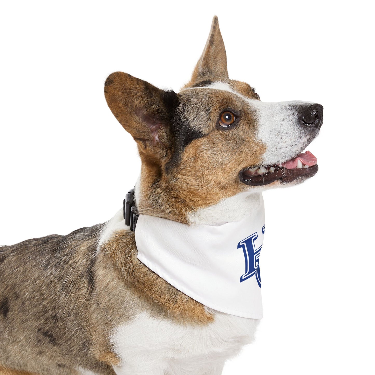 Hampton Pet Bandana Collar