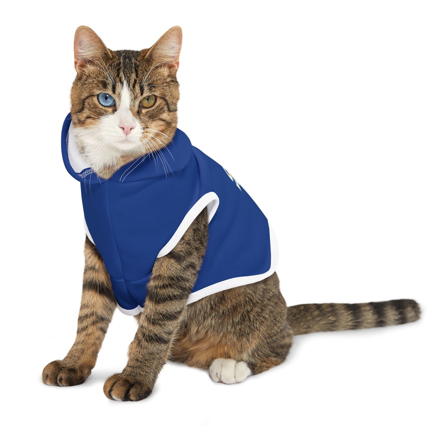 Southern Pet Hoodie