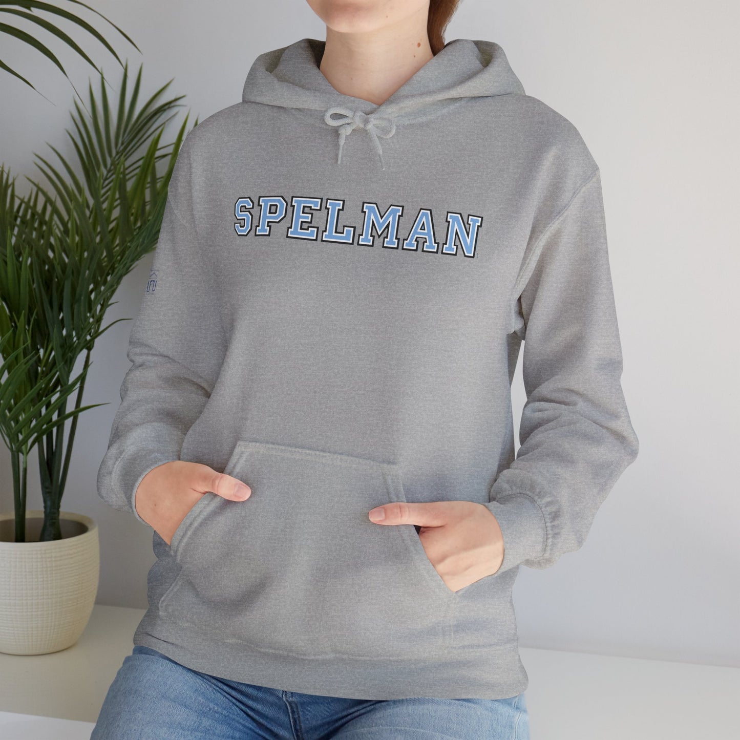 Unisex Heavy Blend™ Hooded Sweatshirt sc