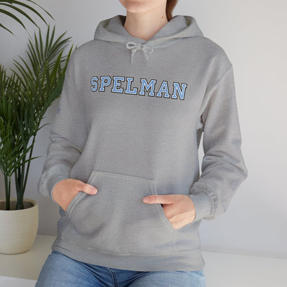Unisex Heavy Blend™ Hooded Sweatshirt sc