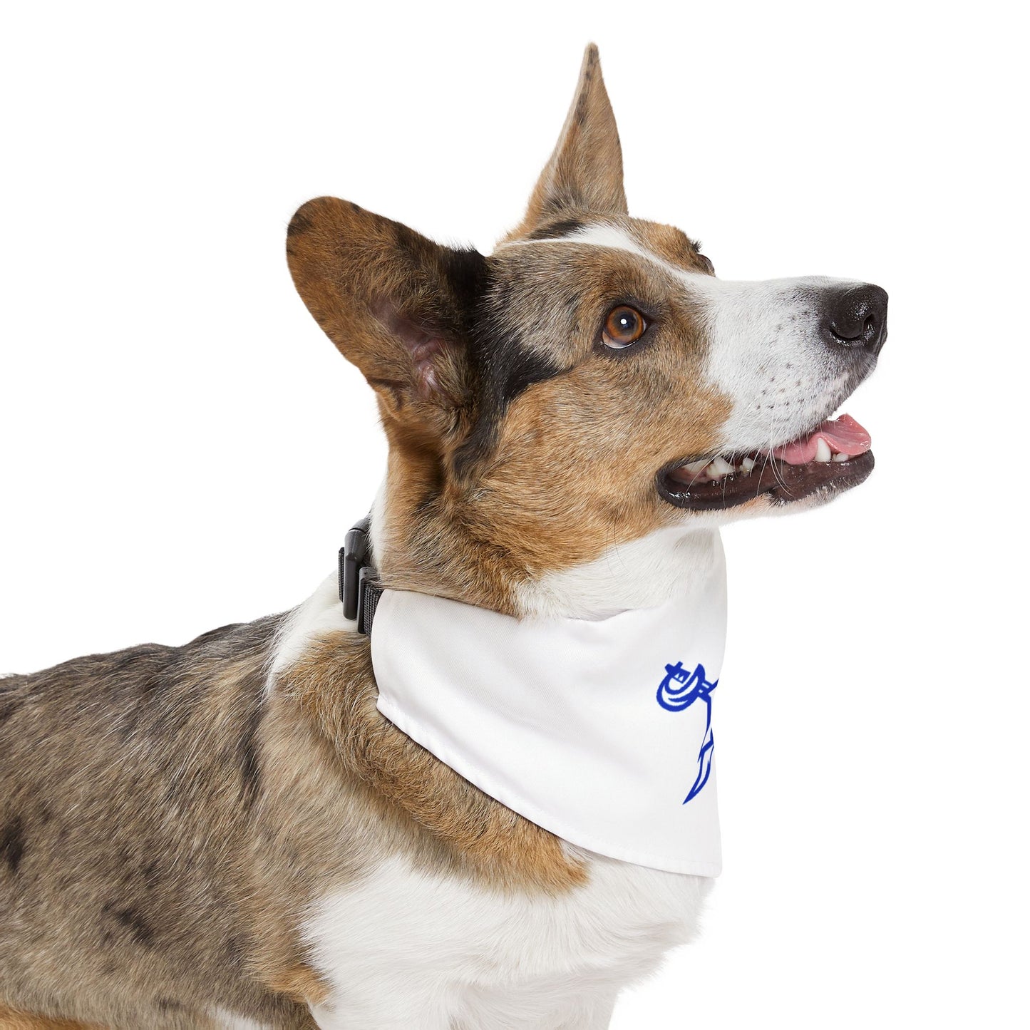 Hampton Pet Bandana Collar