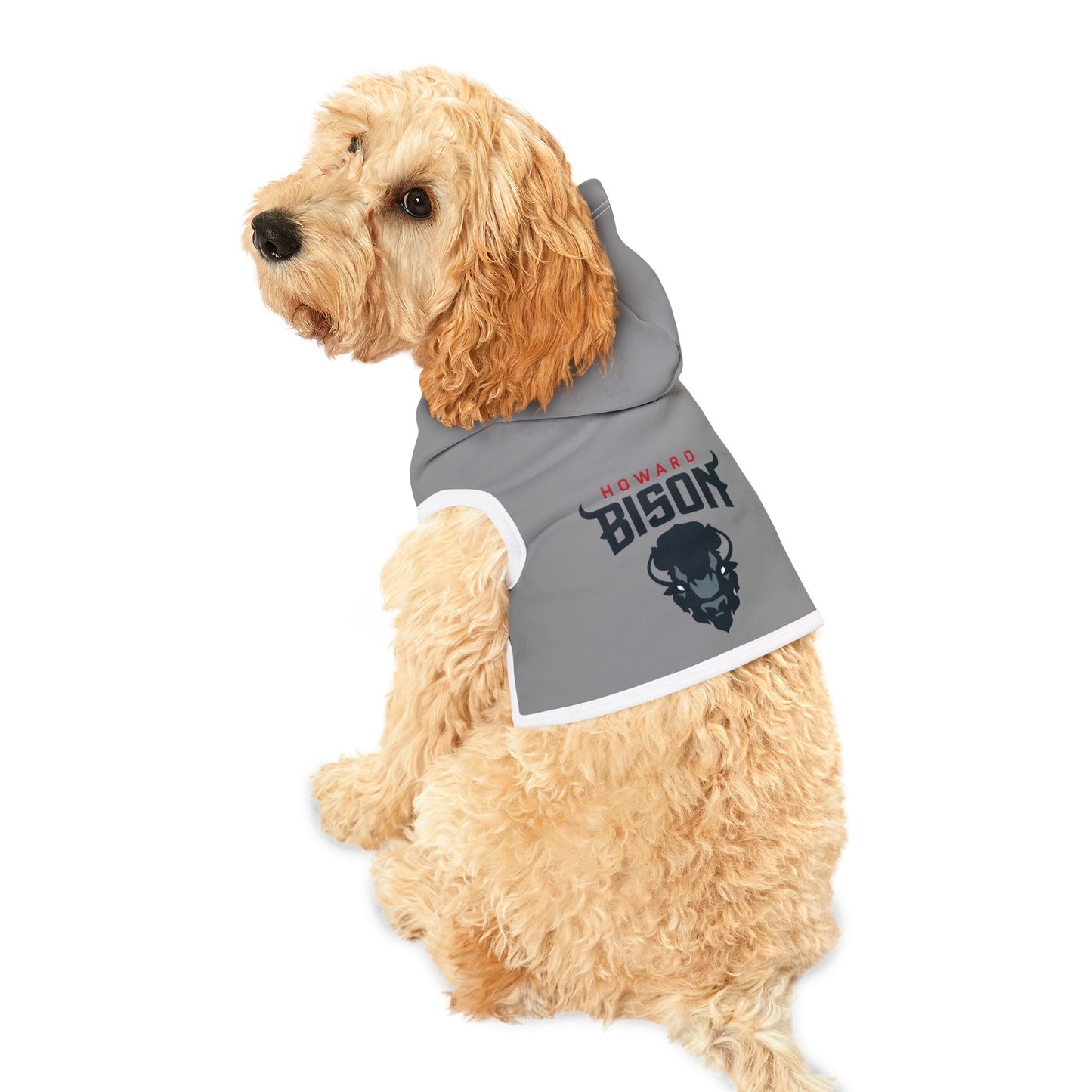 Howard Pet Hoodie