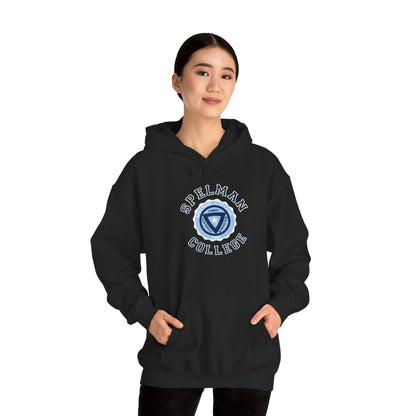 Unisex Heavy Blend™ Hooded Sweatshirt sc