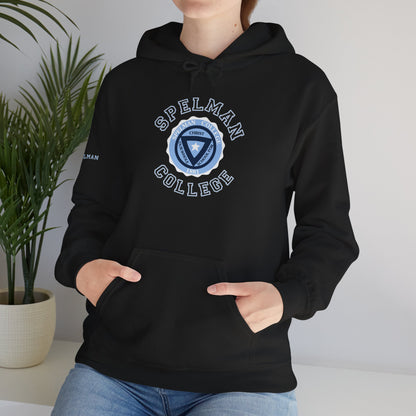 Unisex Heavy Blend™ Hooded Sweatshirt sc