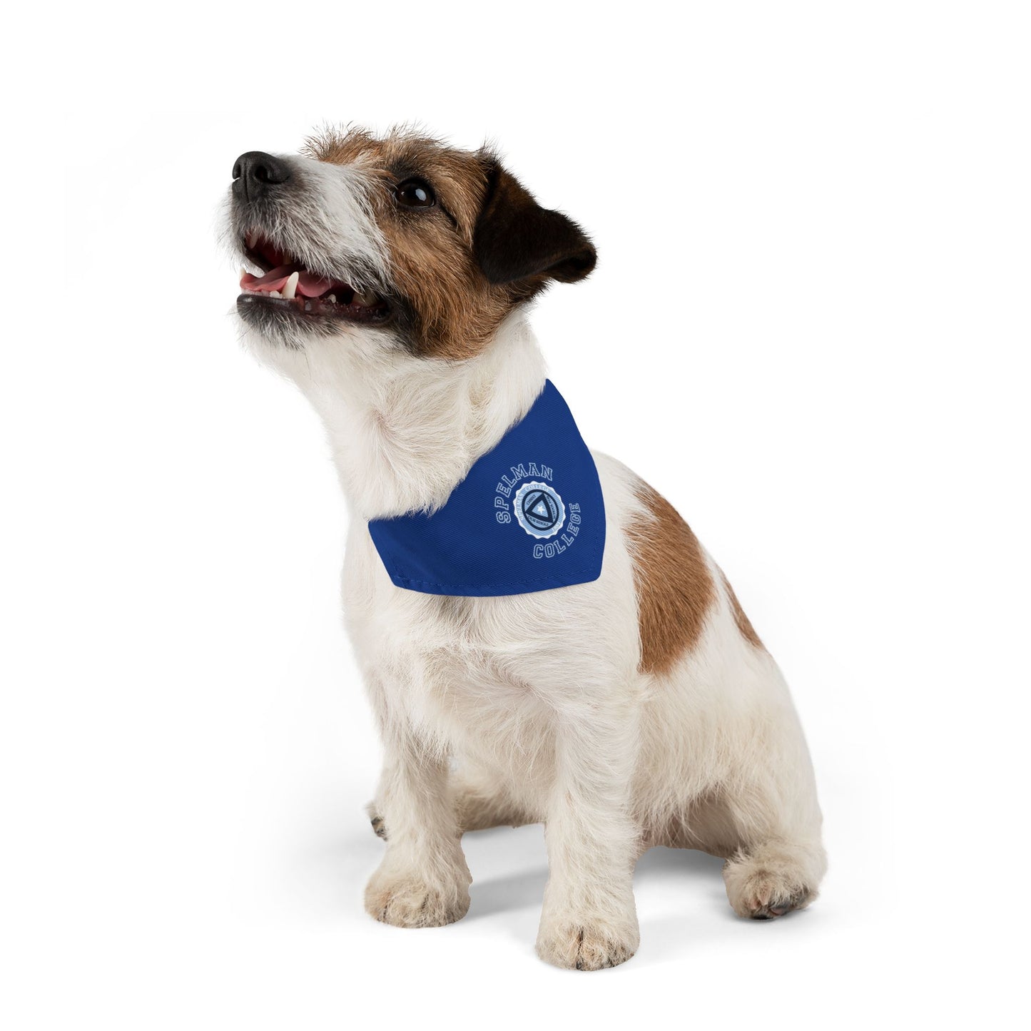 Spelman Pet Bandana Collar