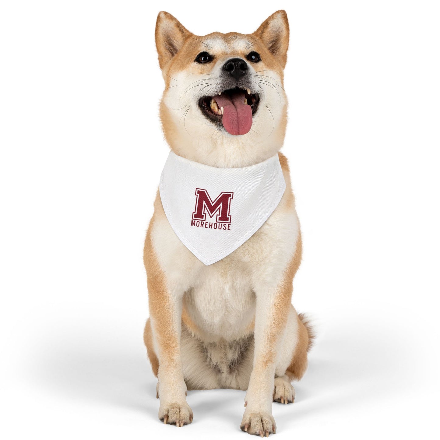 Morehouse Pet Bandana Collar