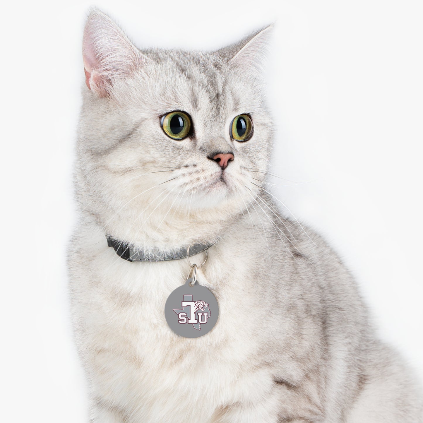 Texas southern Pet Tag