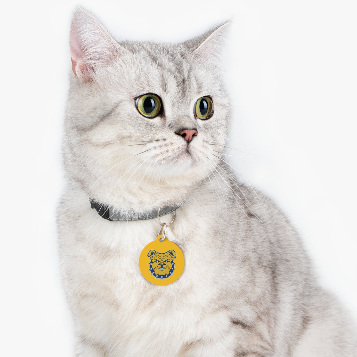 NCAT Pet Tag