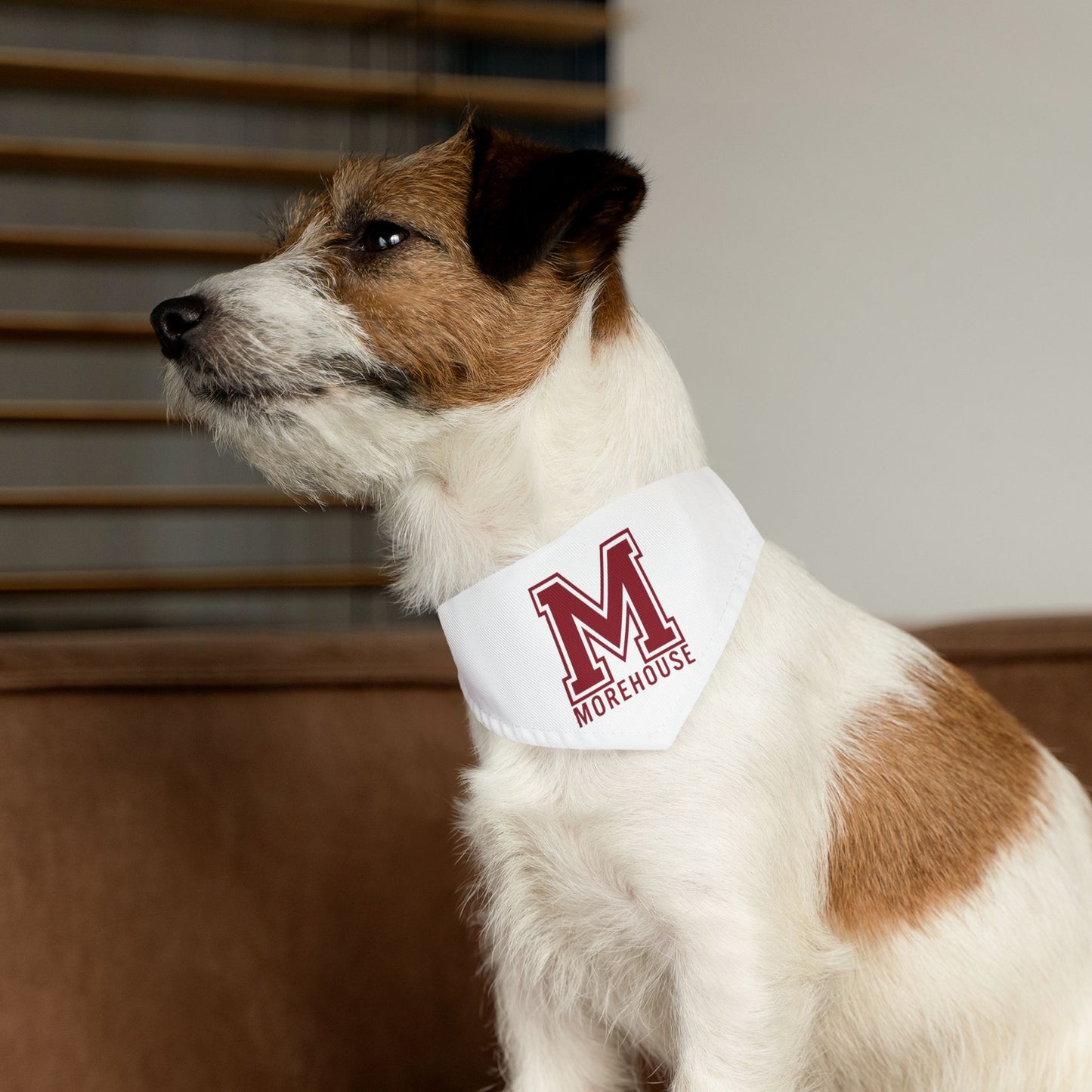Morehouse Pet Bandana Collar