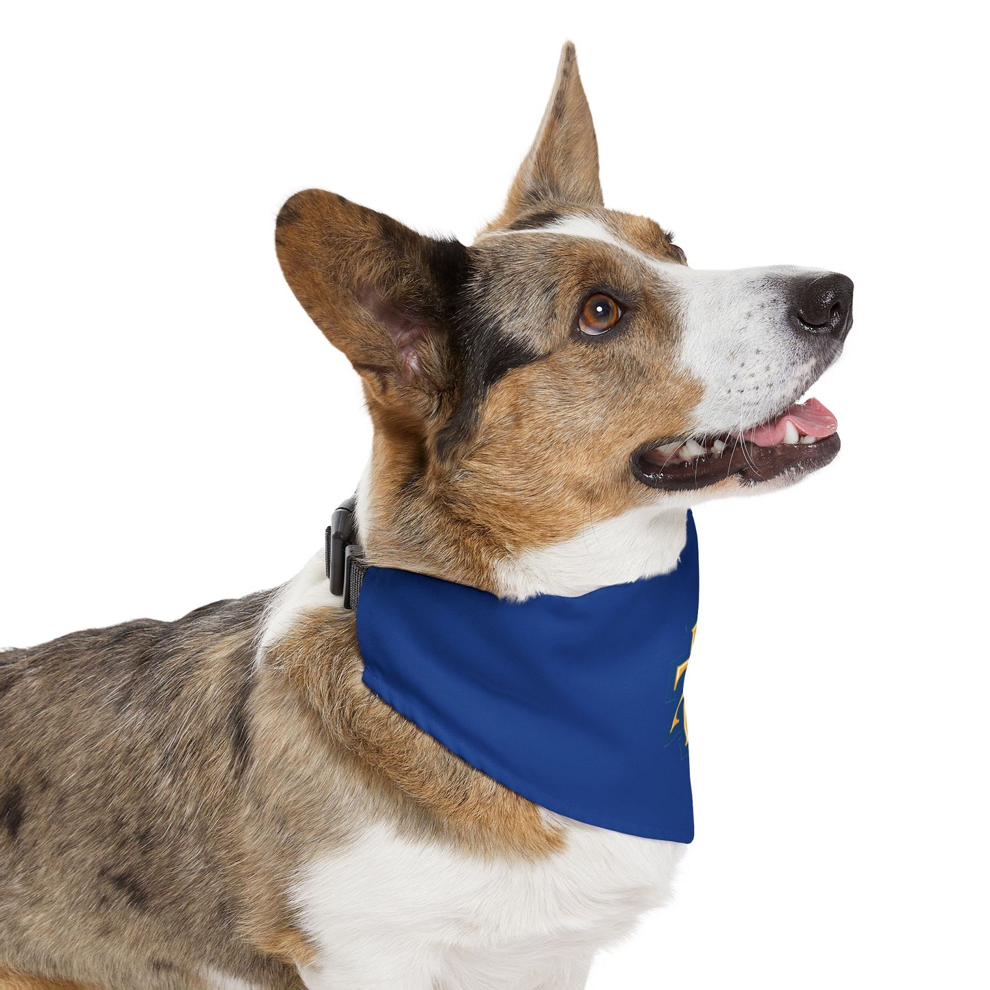 NCAT Pet Bandana Collar