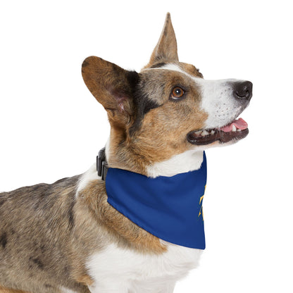 NCAT Pet Bandana Collar