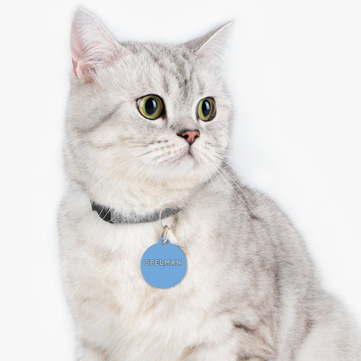 Spelman Pet Tag