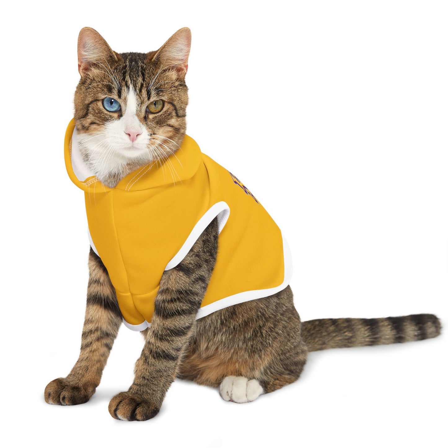 Prairie View Pet Hoodie