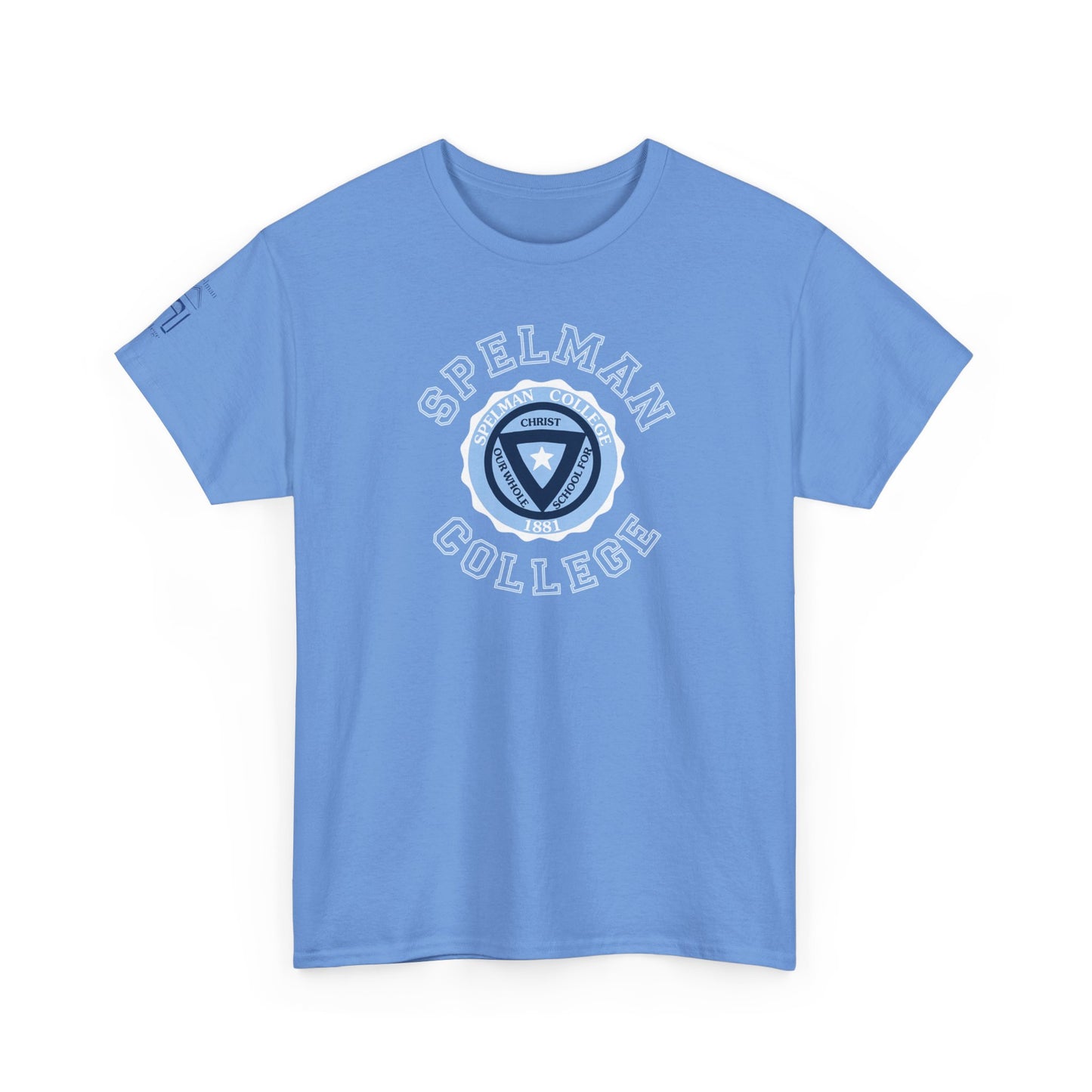 Unisex Heavy Cotton Tee sc