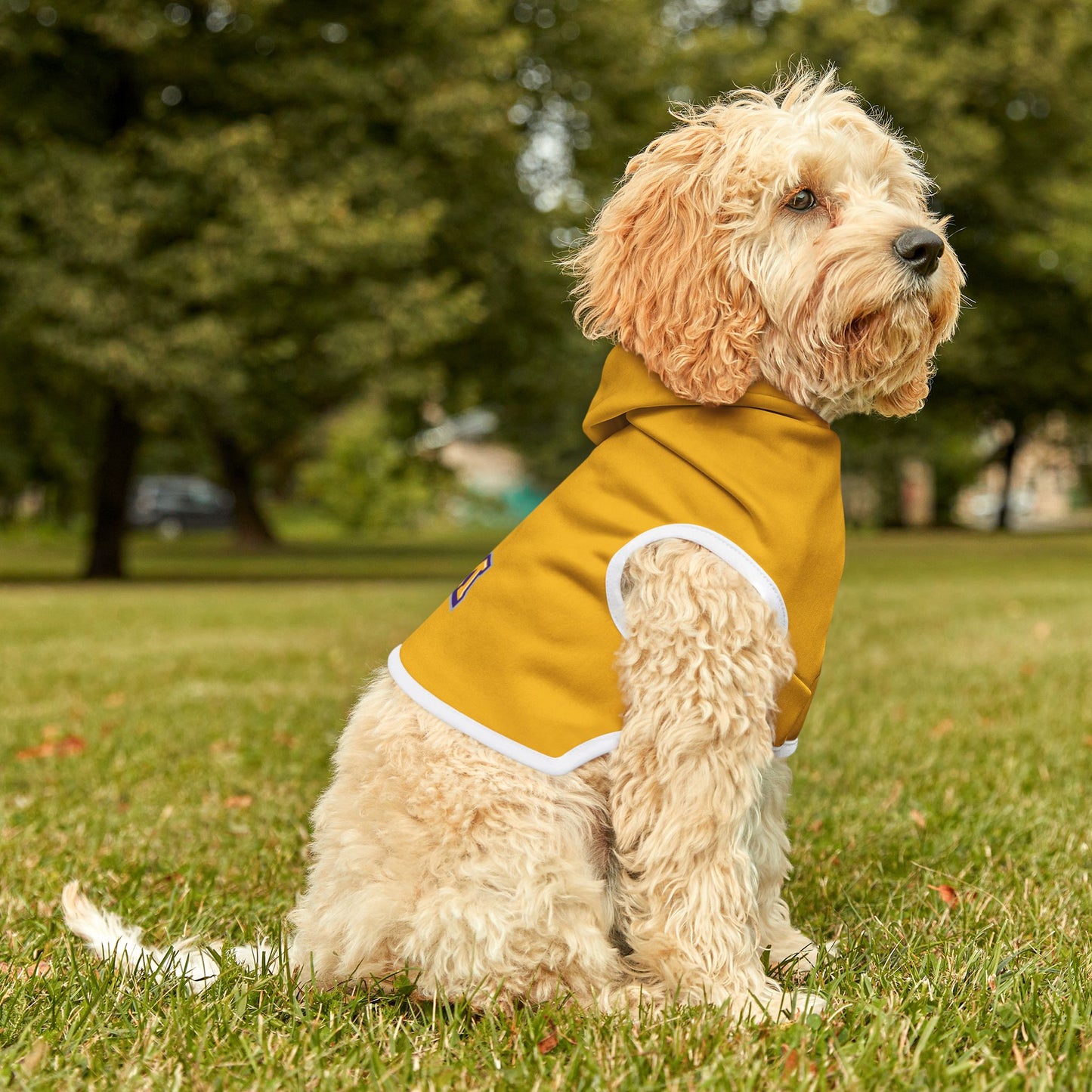 Prairie View Pet Hoodie