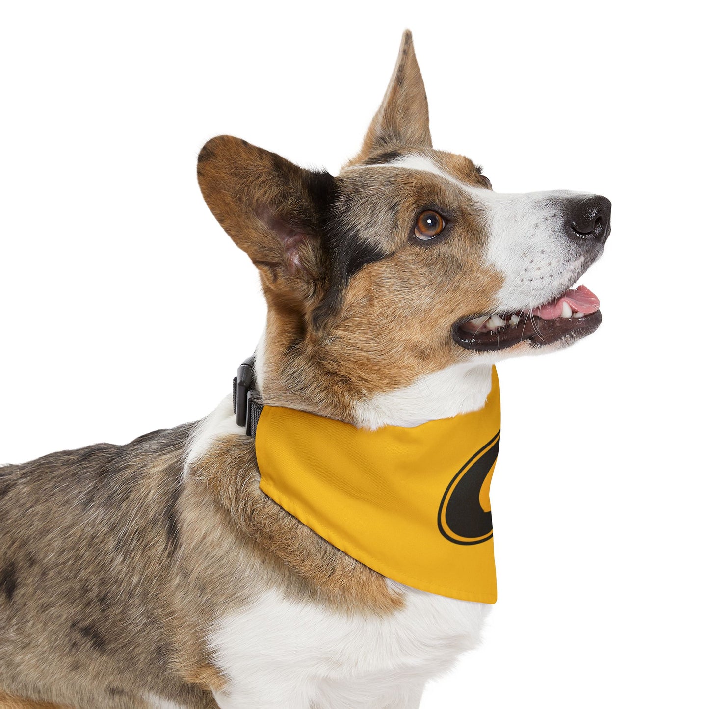 Grambling Pet Bandana Collar