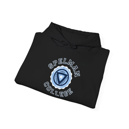 Unisex Heavy Blend™ Hooded Sweatshirt sc