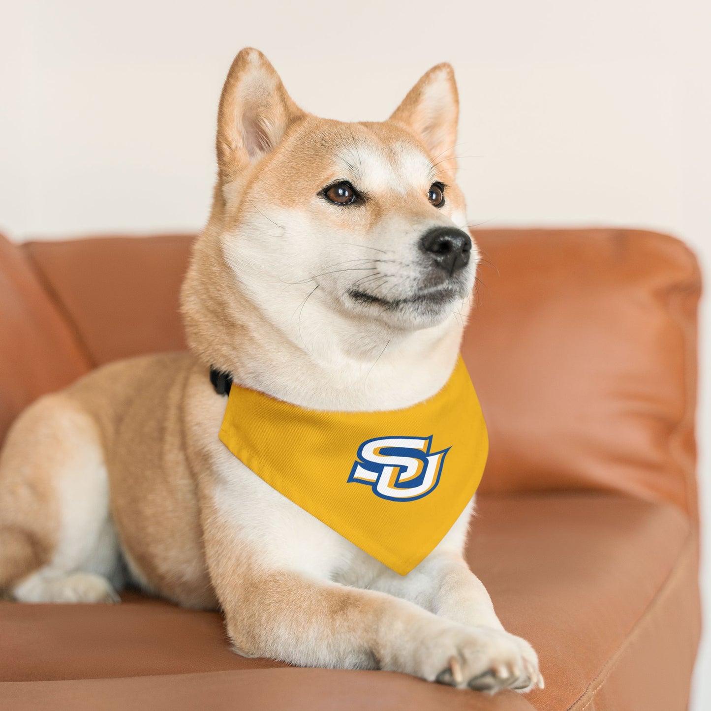 Southern Pet Bandana Collar