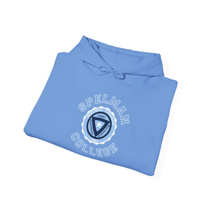 Unisex Heavy Blend™ Hooded Sweatshirt sc