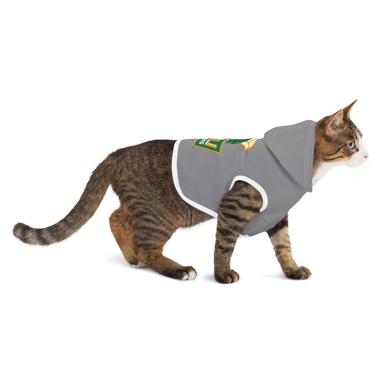 Norfolk state Pet Hoodie