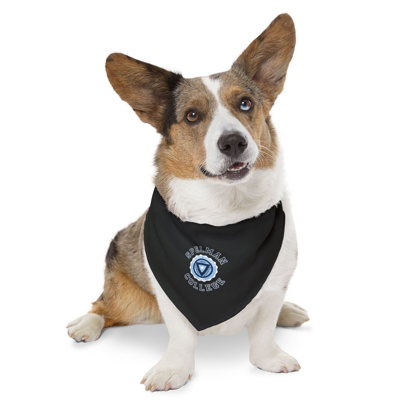Spelman Pet Bandana Collar