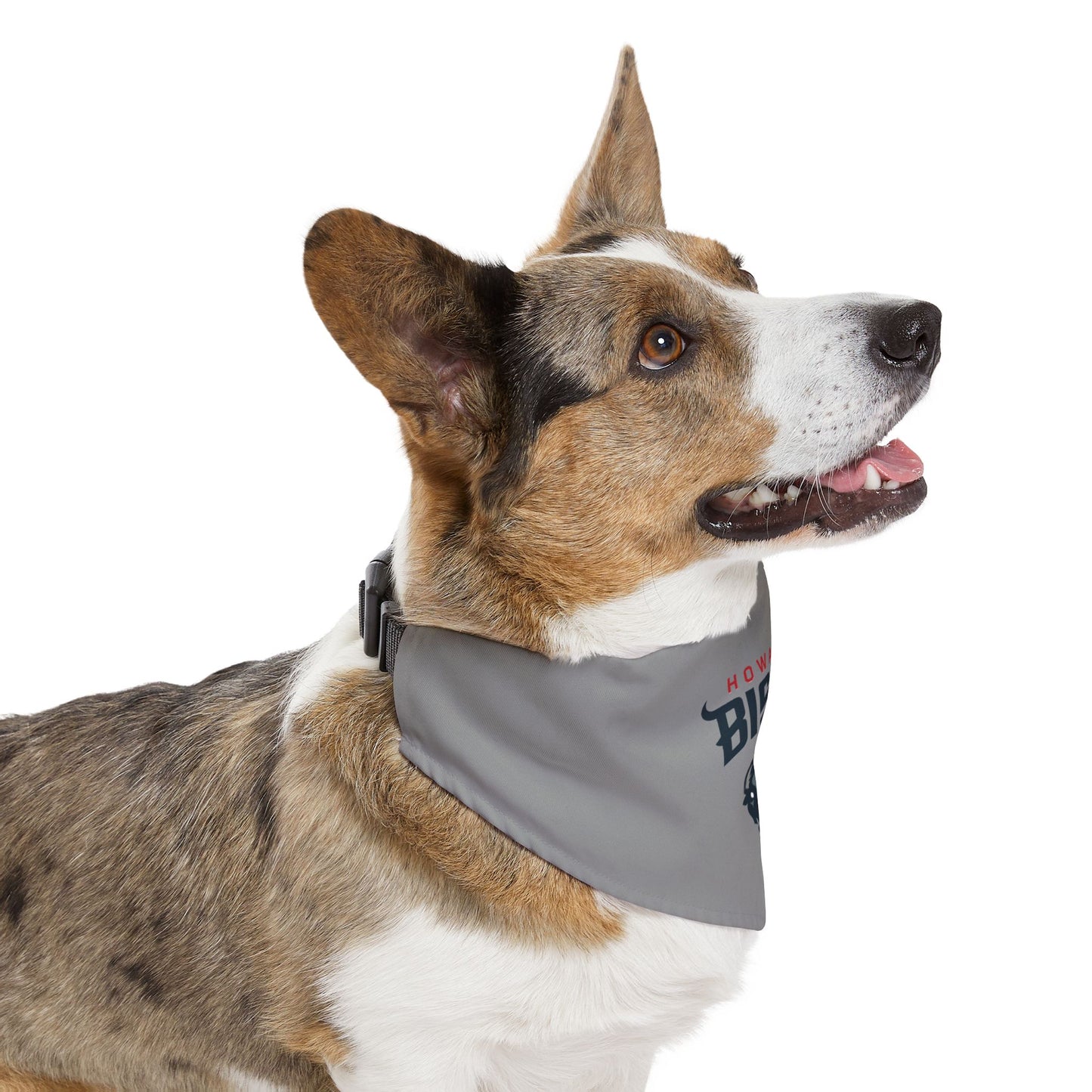 Howard Pet Bandana Collar