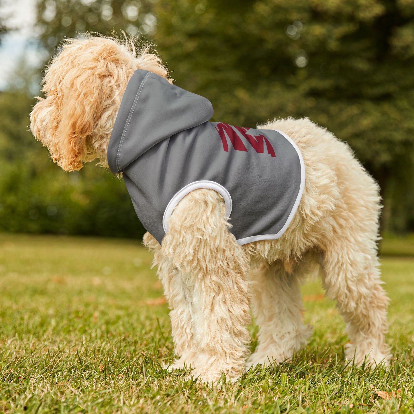 Morehouse Pet Hoodie