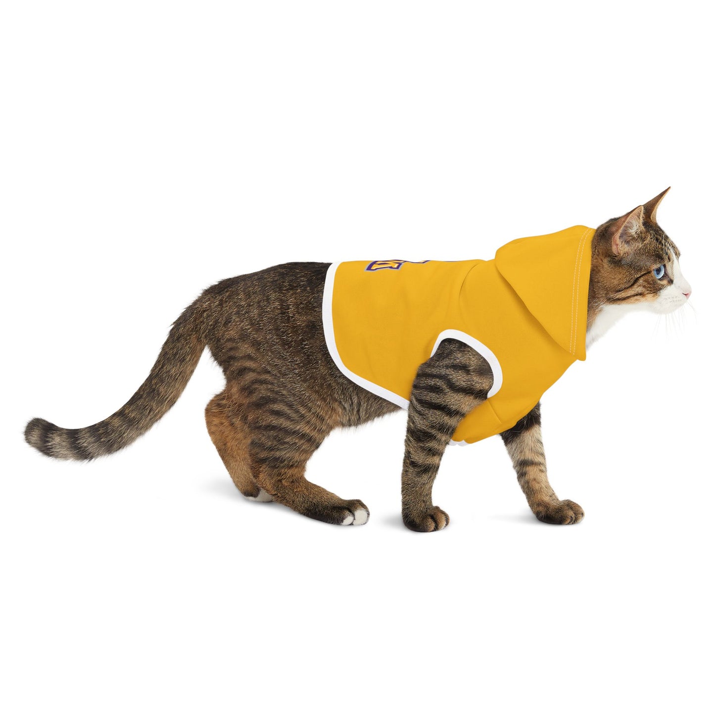 Prairie View Pet Hoodie
