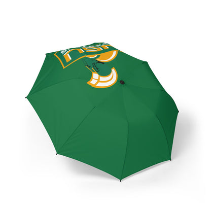 Semi-Automatic Foldable Umbrella