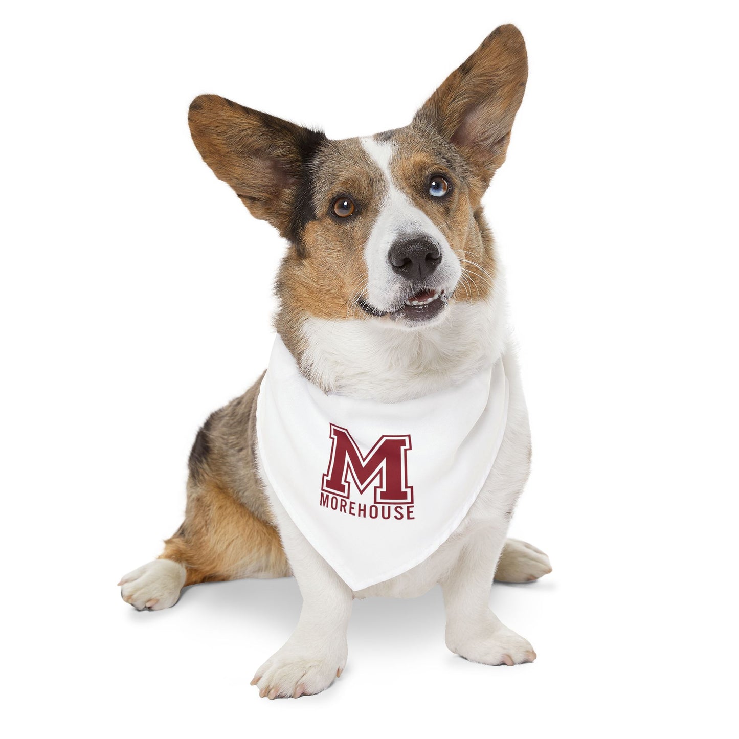 Morehouse Pet Bandana Collar