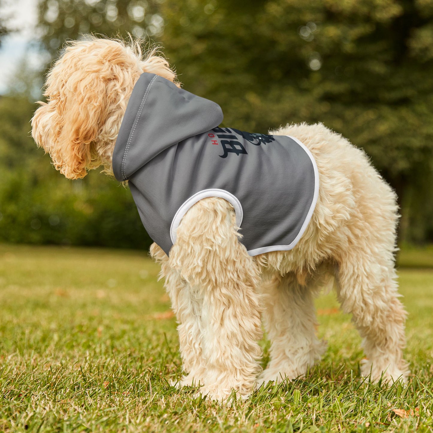 Howard Pet Hoodie