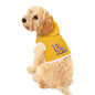 Prairie View Pet Hoodie