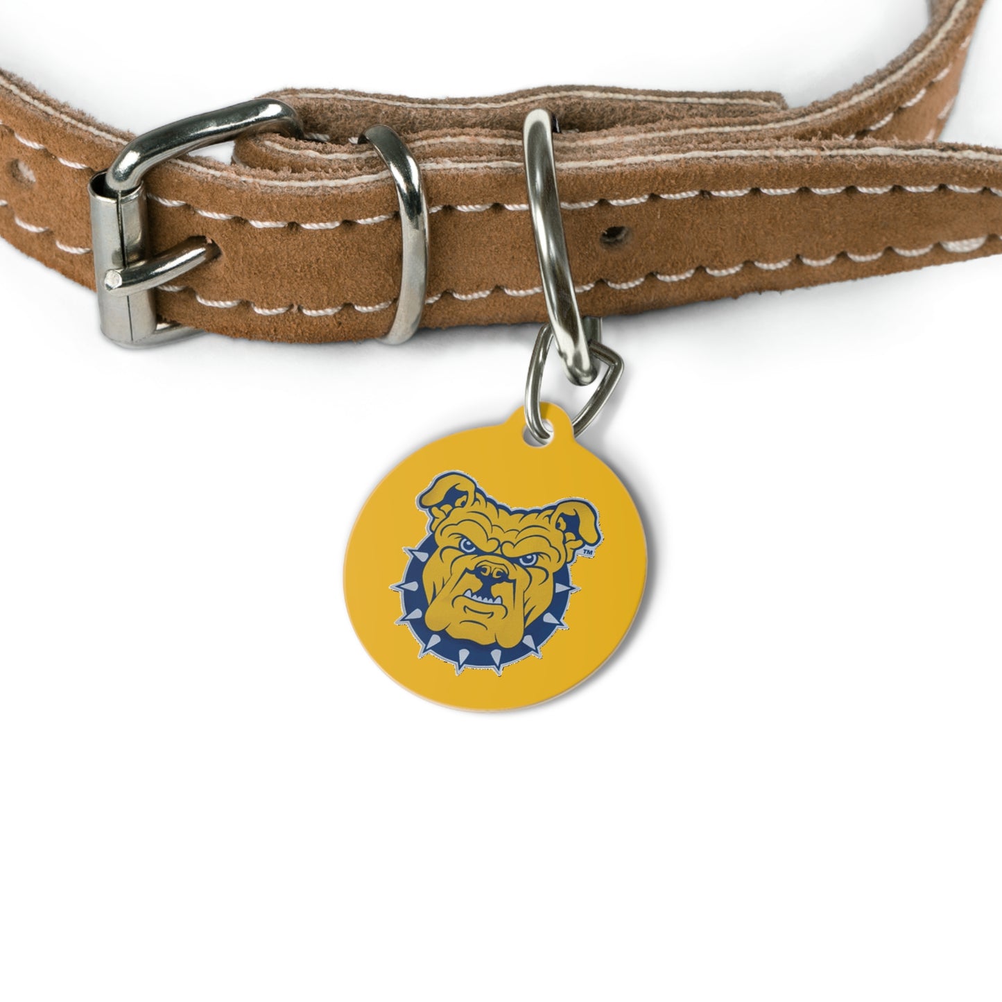 NCAT Pet Tag