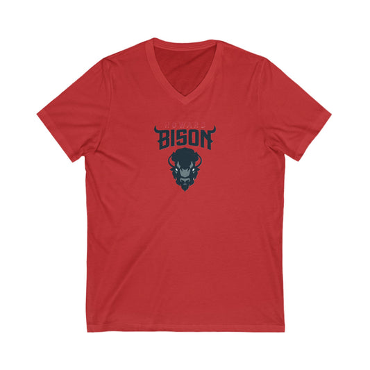Womens Jersey Short Sleeve V-Neck Tee