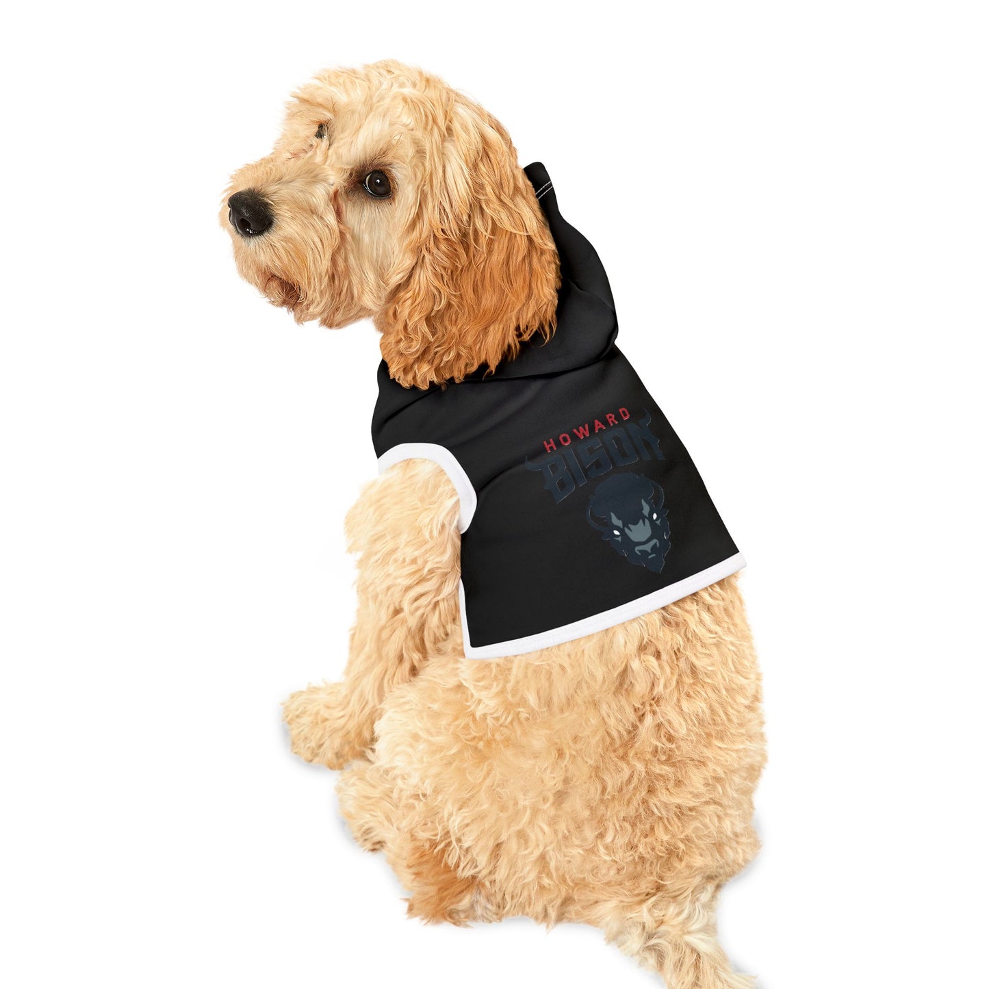 Howard Pet Hoodie