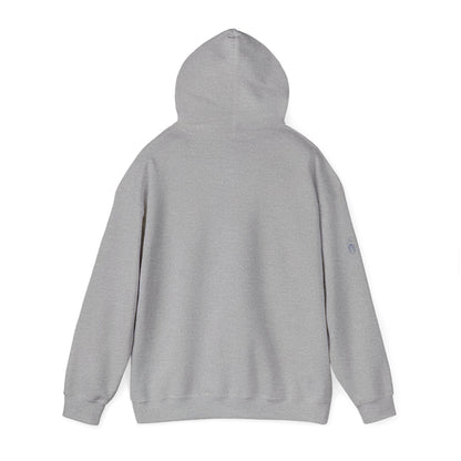 Unisex Heavy Blend™ Hooded Sweatshirt sc