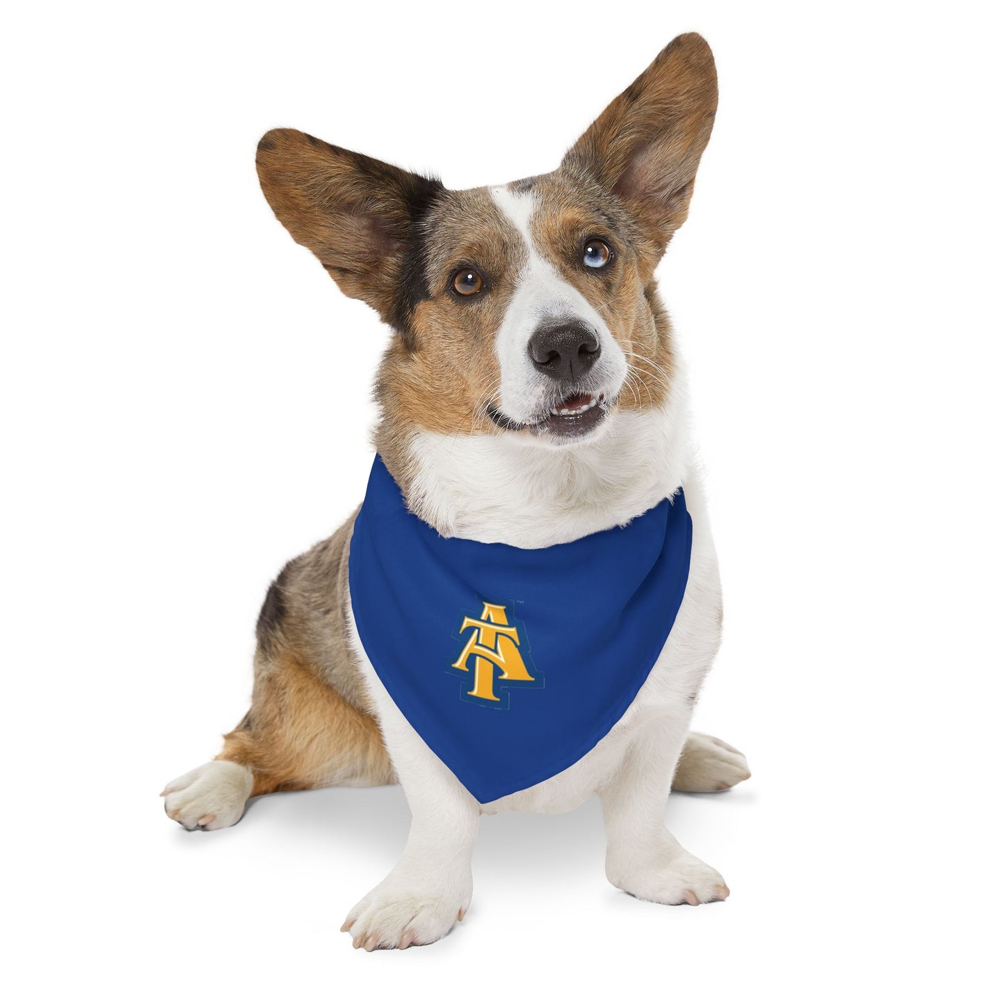 NCAT Pet Bandana Collar