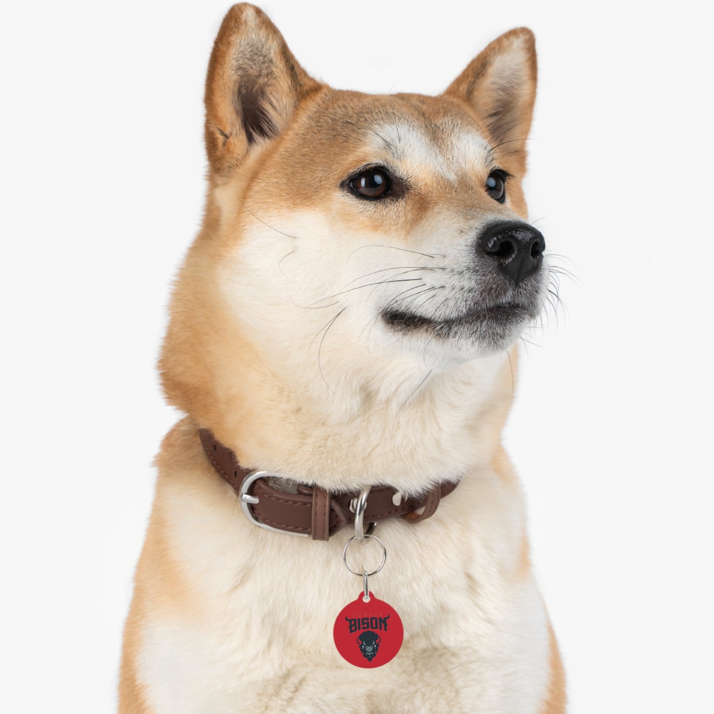 Howard Pet Tag