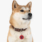 Howard Pet Tag