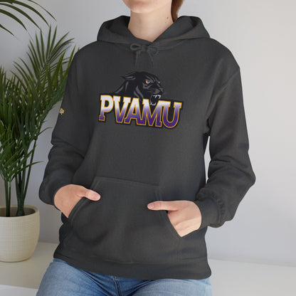 Unisex Heavy Blend™ Hooded Sweatshirt pv
