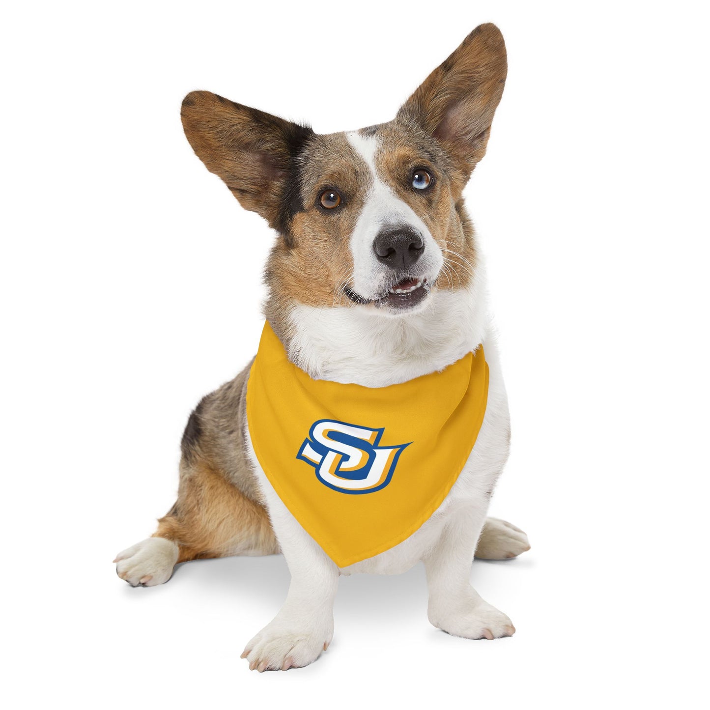 Southern Pet Bandana Collar