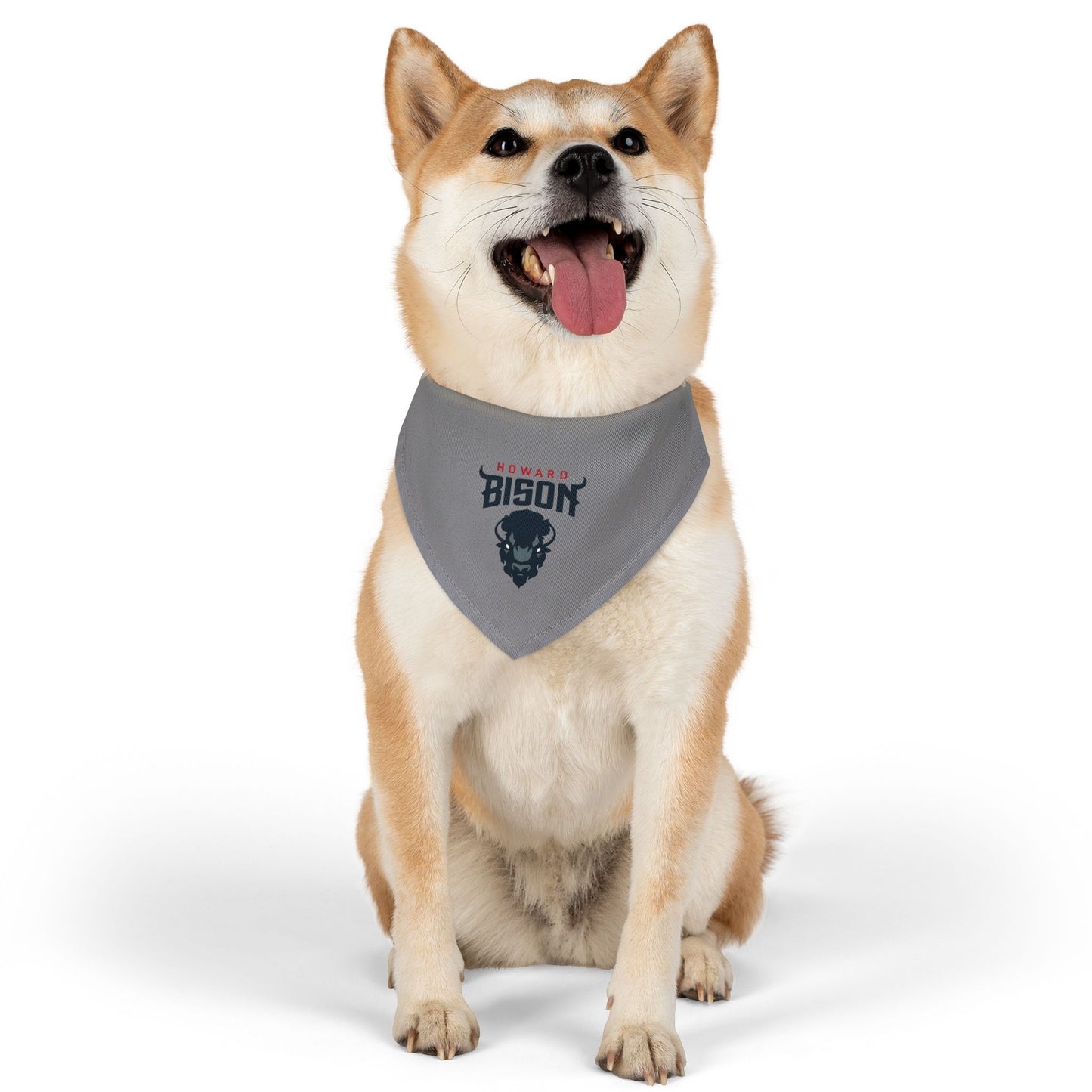 Howard Pet Bandana Collar