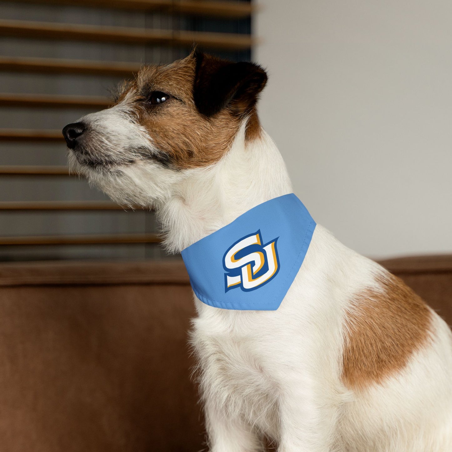 Southern Pet Bandana Collar