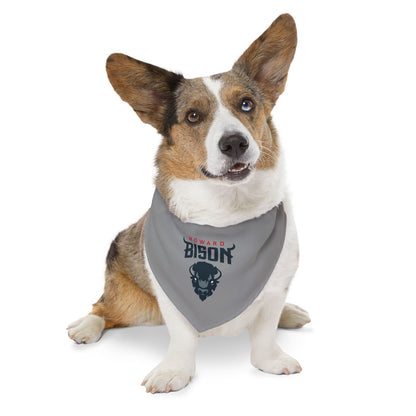 Howard Pet Bandana Collar
