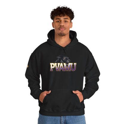 Unisex Heavy Blend™ Hooded Sweatshirt pv