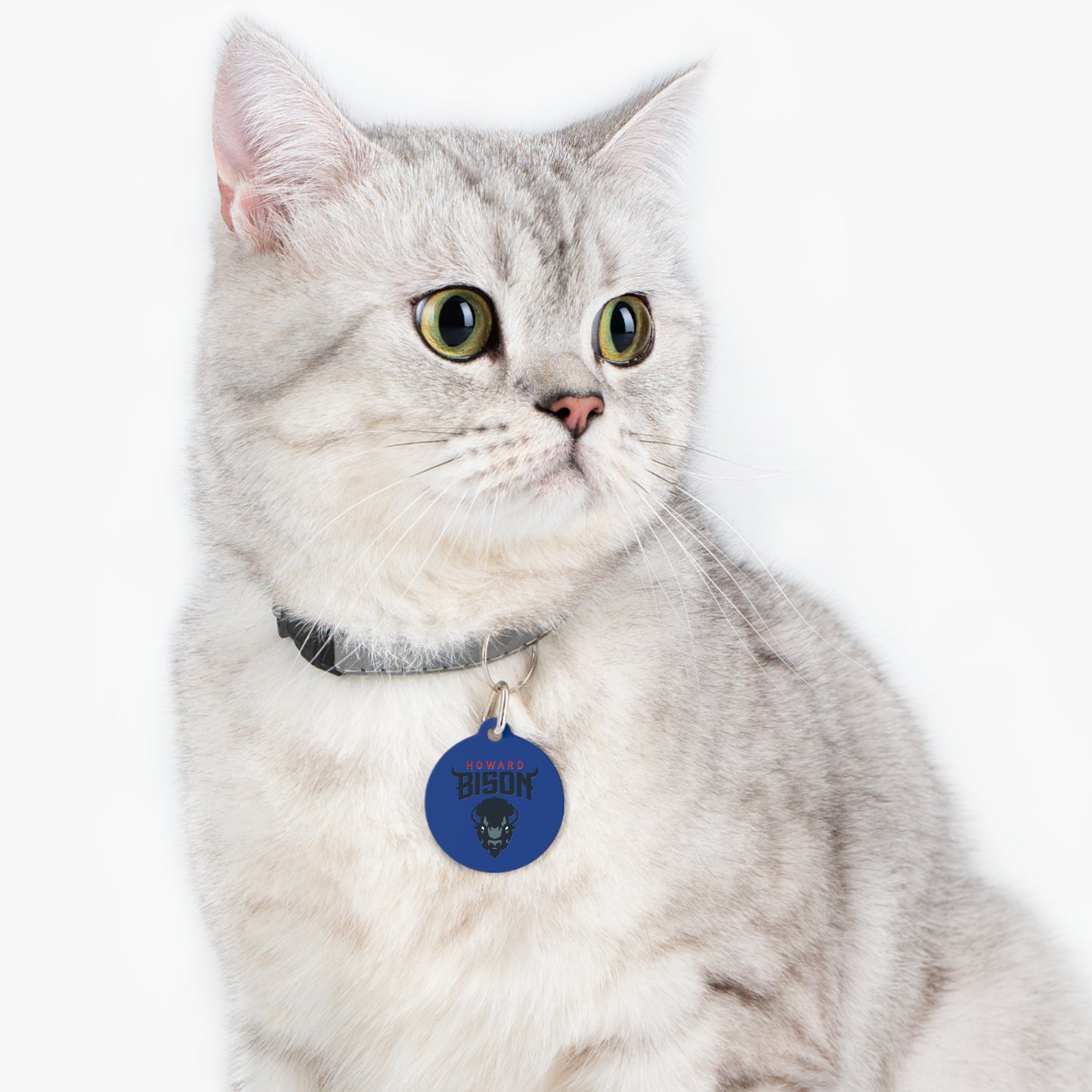 Howard Pet Tag