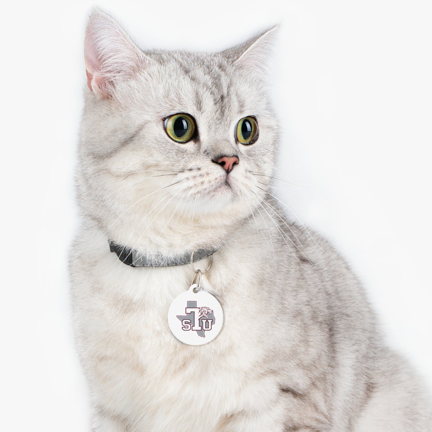 Texas southern Pet Tag