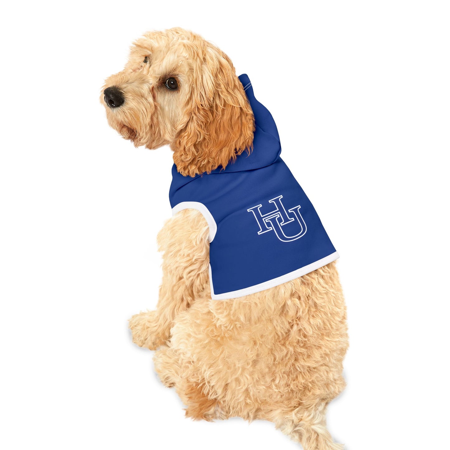 Hampton Pet Hoodie