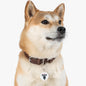 Howard Pet Tag